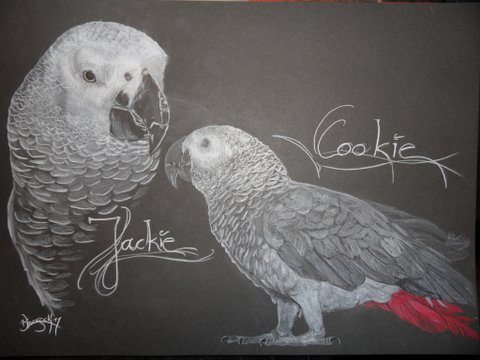 MK 1589_Cookie&Jackie